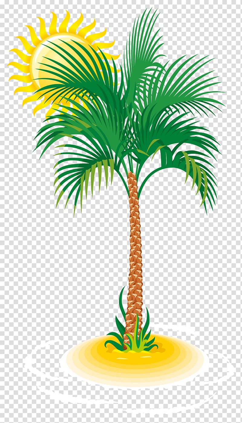 green palm tree illustration, Arecaceae Tree , Palm and Sun transparent background PNG clipart