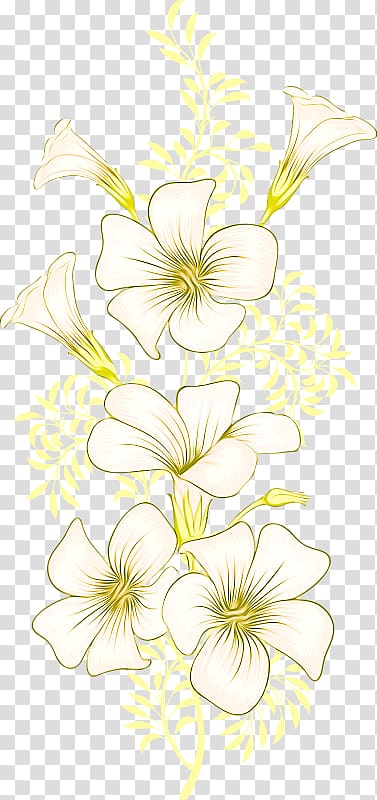 white flower illustration, Floral design Cut flowers Branch Plant stem, morning glory transparent background PNG clipart
