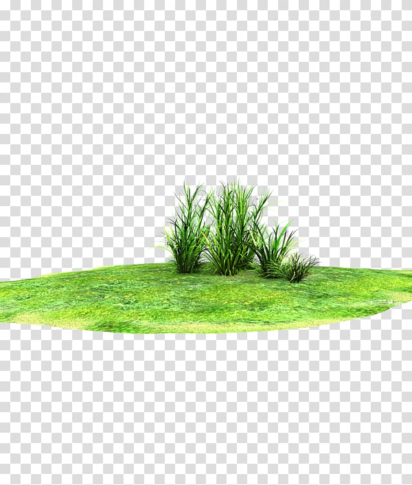 Lawn Rendering , farm land transparent background PNG clipart