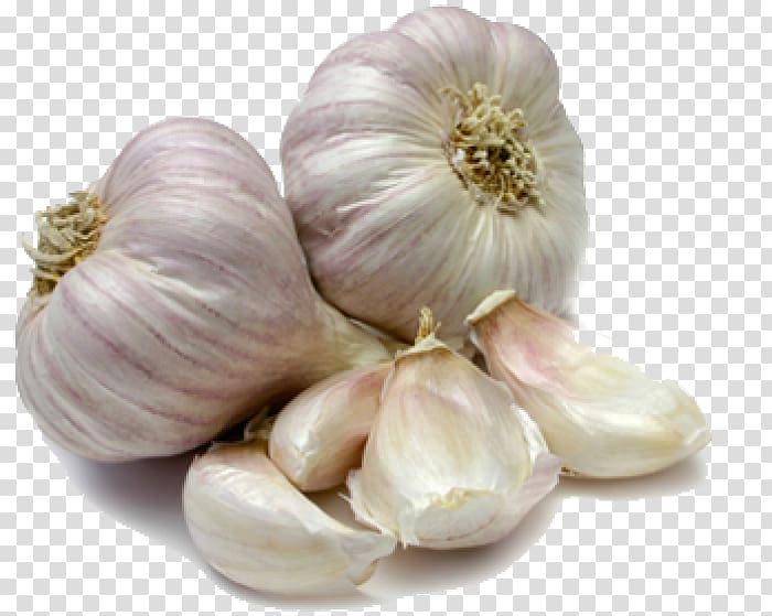 Garlic Scape Bulb Clove Food, garlic transparent background PNG clipart