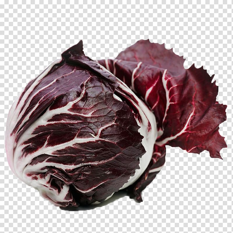 Chicory Red, Fresh red cabbage transparent background PNG clipart