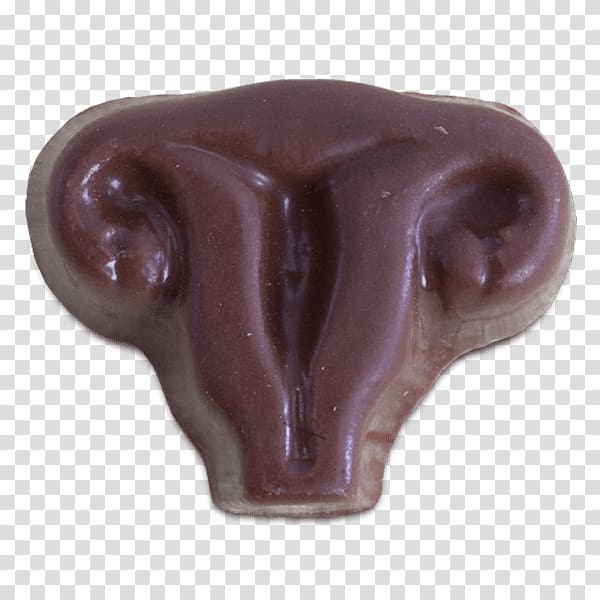 Chocolate Uterus Cyst Anatomy Organ, chocolate transparent background PNG clipart