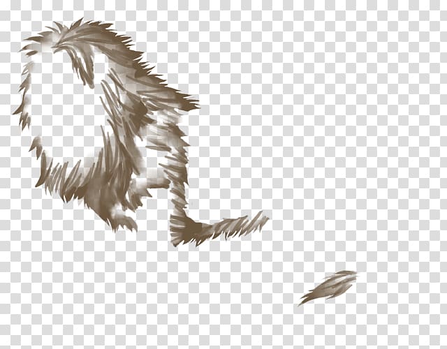 Carnivora Bird of prey Feather Fur, Lion mane transparent background PNG clipart