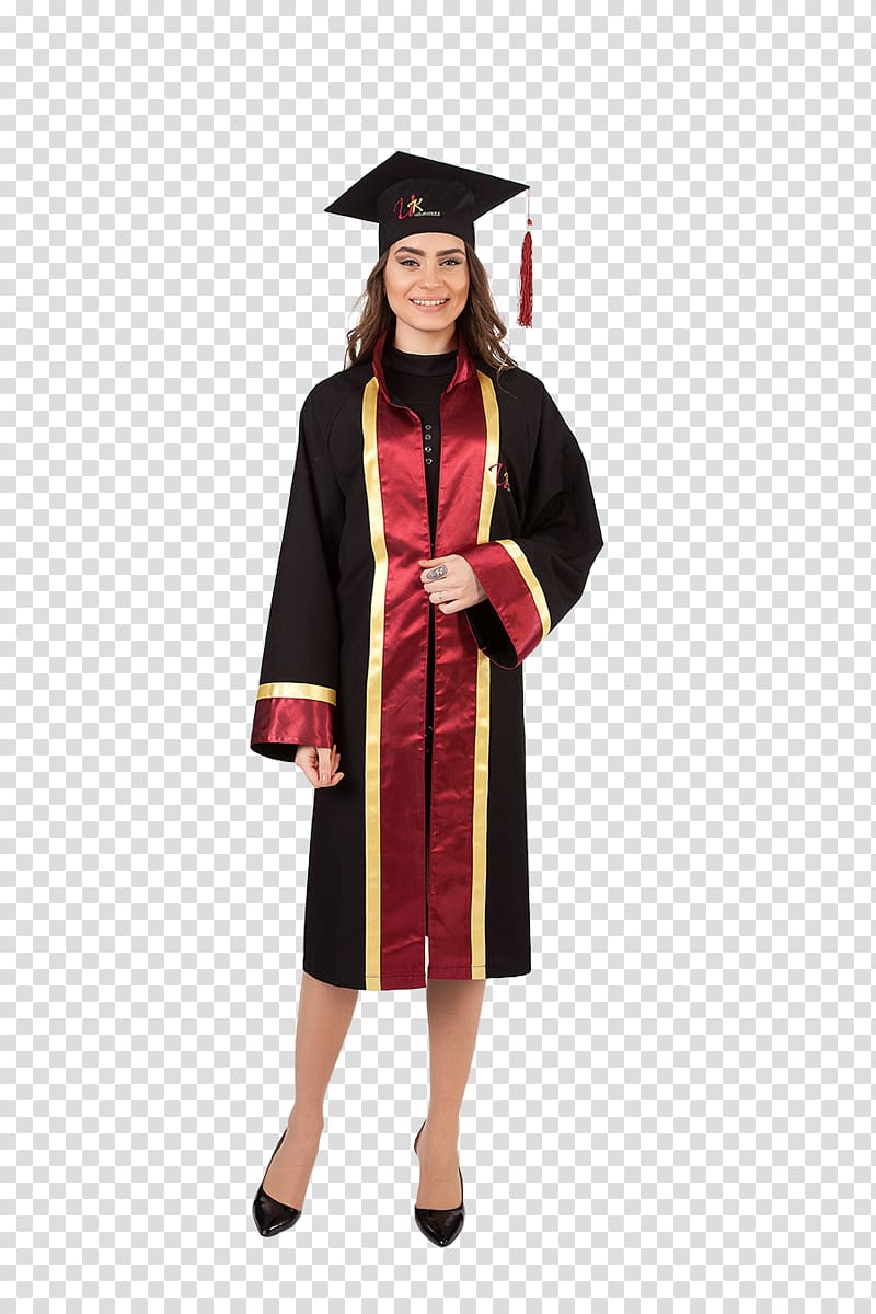 Robe Academician Graduation ceremony Academic dress Doctor of Philosophy, others transparent background PNG clipart