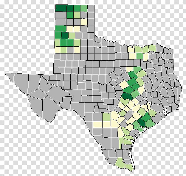 Texas International wheat production statistics Agriculture Corn production in the United States, wheat transparent background PNG clipart