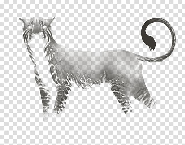 Whiskers Domestic short-haired cat Tabby cat Wildcat, pride of lions transparent background PNG clipart