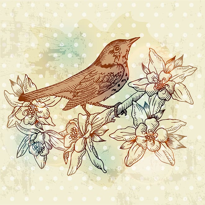 European retro bird and flower painting002 transparent background PNG clipart