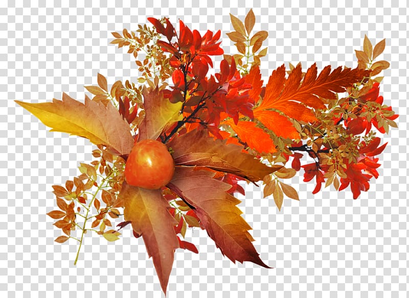 Leaf Autumn Fruit, autumn transparent background PNG clipart