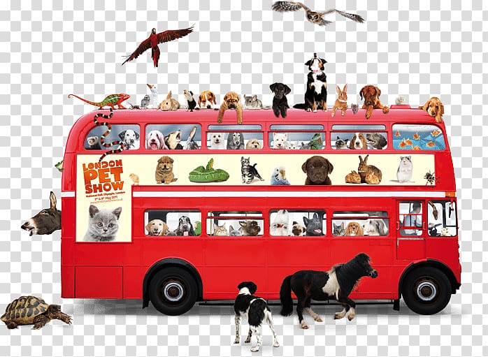 Dog Pet Double-decker bus Animal welfare, Dog transparent background PNG clipart