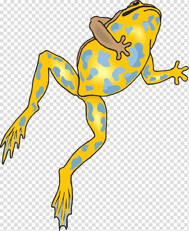 Frog legs Amphibian , frog transparent background PNG clipart