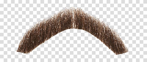 Moustache transparent background PNG clipart