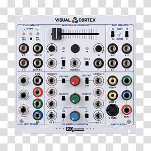 Visual cortex Color Cerebral cortex Visual perception Video synthesizer, ctrl c transparent background PNG clipart thumbnail