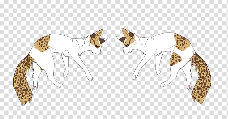 Big cat Mammal Dog Canidae, Cat transparent background PNG clipart