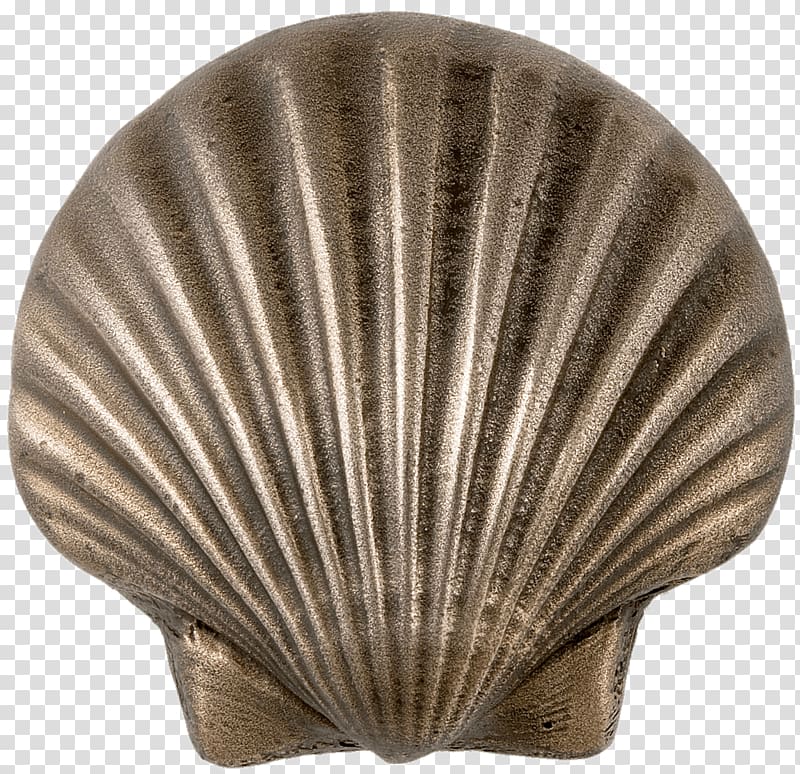 brown clam, Metal Scalloped Seashell transparent background PNG clipart