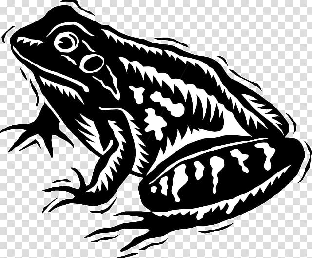 Tree frog Black and white , amphibian transparent background PNG clipart