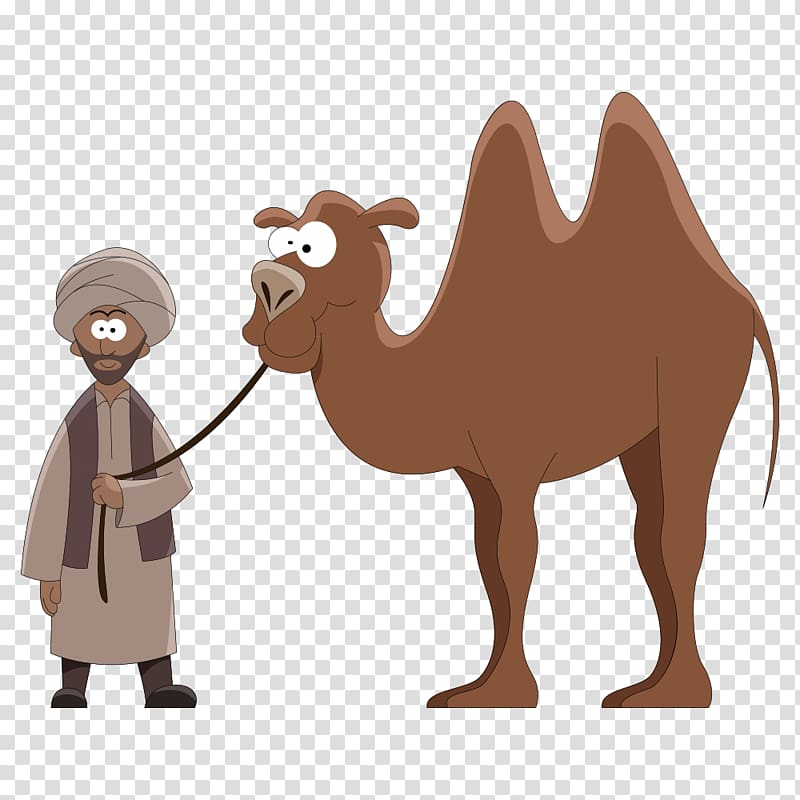 Dromedary Cartoon , Led camel man transparent background PNG clipart