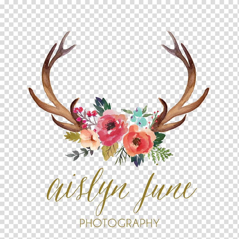 pink and brown flowers, Deer Antler Watercolor painting , rustic transparent background PNG clipart