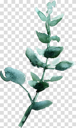 green plant painting illustration, Leaf Watercolor painting Green, Emerald green leaves vintage watercolor transparent background PNG clipart green plant painting illustration, Leaf Watercolor painting Green, Emerald green leaves vintage watercolor transparent background PNG clipart thumbnail