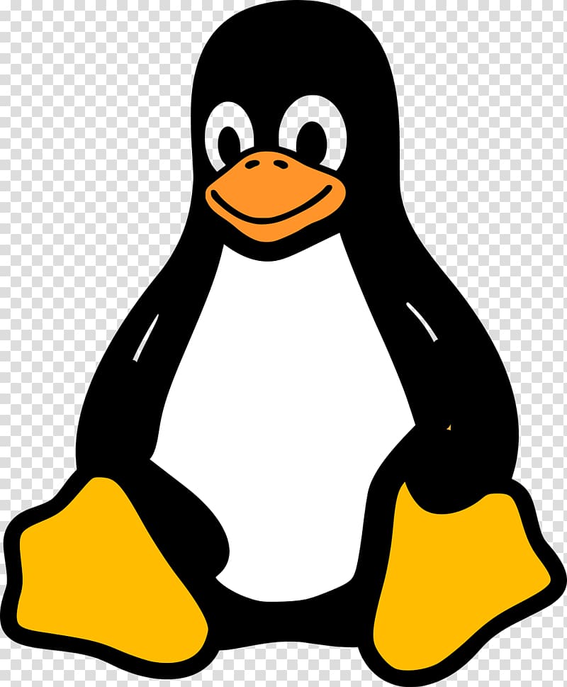 Tux Racer Penguin Linux kernel, penguins transparent background PNG clipart