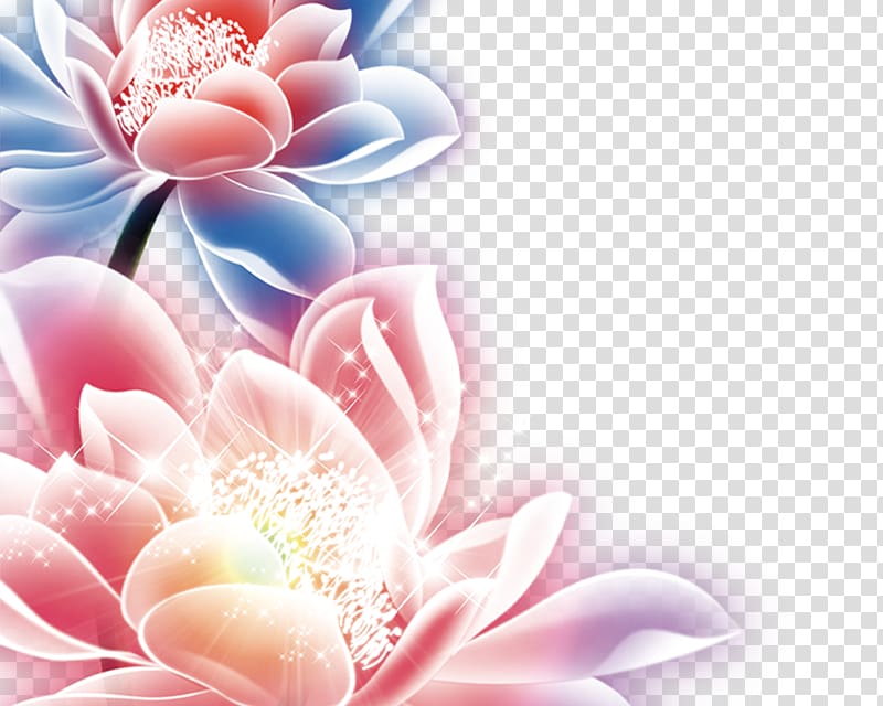 Colorful Lotus transparent background PNG clipart