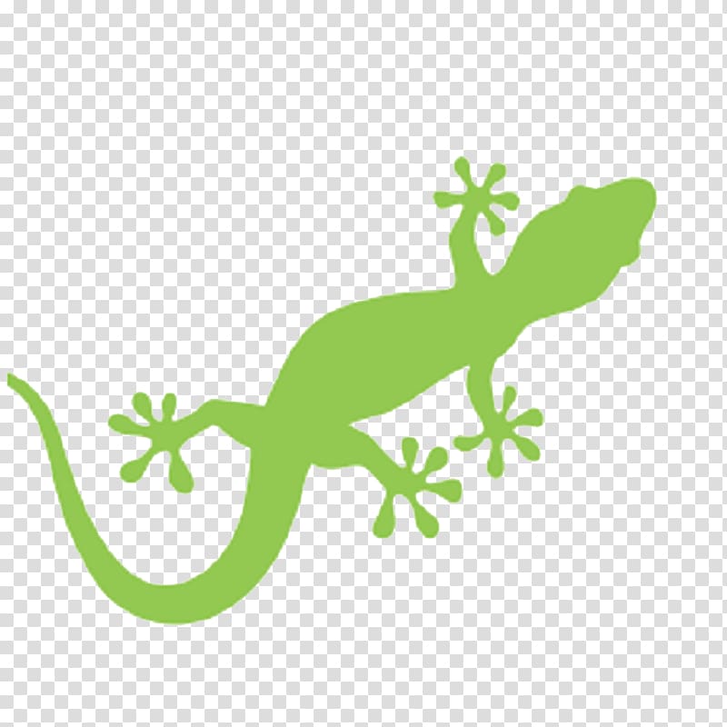 Lizard Gecko , lizard transparent background PNG clipart