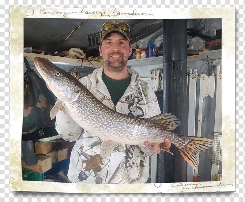 Free download, Ludington charter boat association Lake Michigan Jigging  Fishing, Fishing transparent background PNG clipart