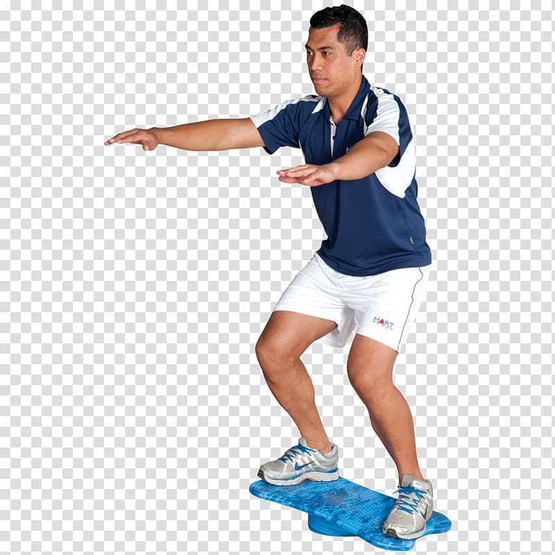 Balance board Physical fitness Exercise Physical therapy, others transparent background PNG clipart