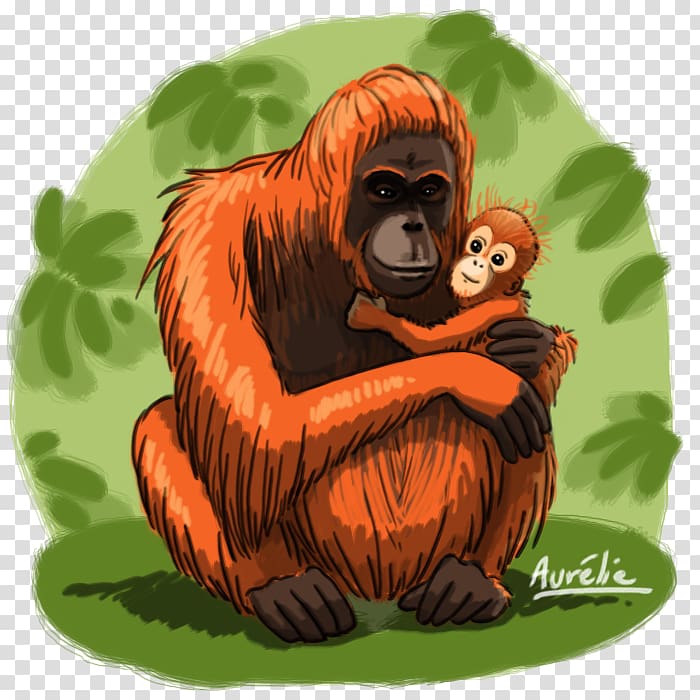 Gorilla Common chimpanzee Orangutan Cartoon, gorilla transparent background PNG clipart