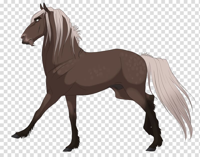 Mustang Drawing Stallion American frontier Model sheet, shading style transparent background PNG clipart