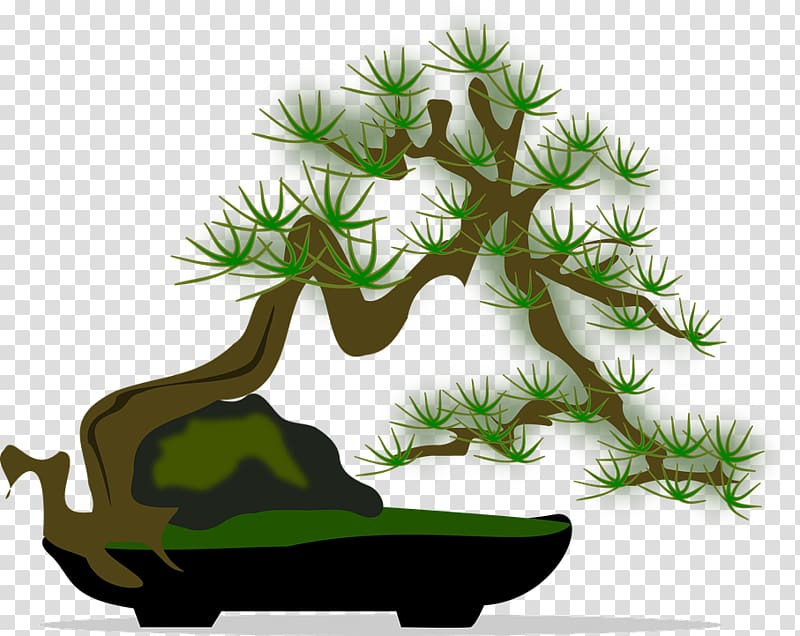 National Bonsai Foundation Penjing Tree , tree transparent background PNG clipart