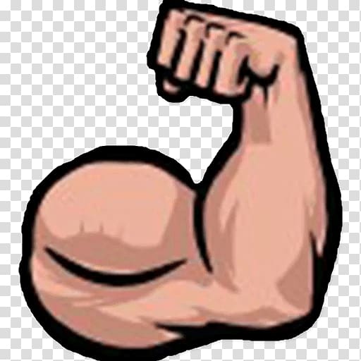 Arm Muscle Biceps , arm transparent background PNG clipart