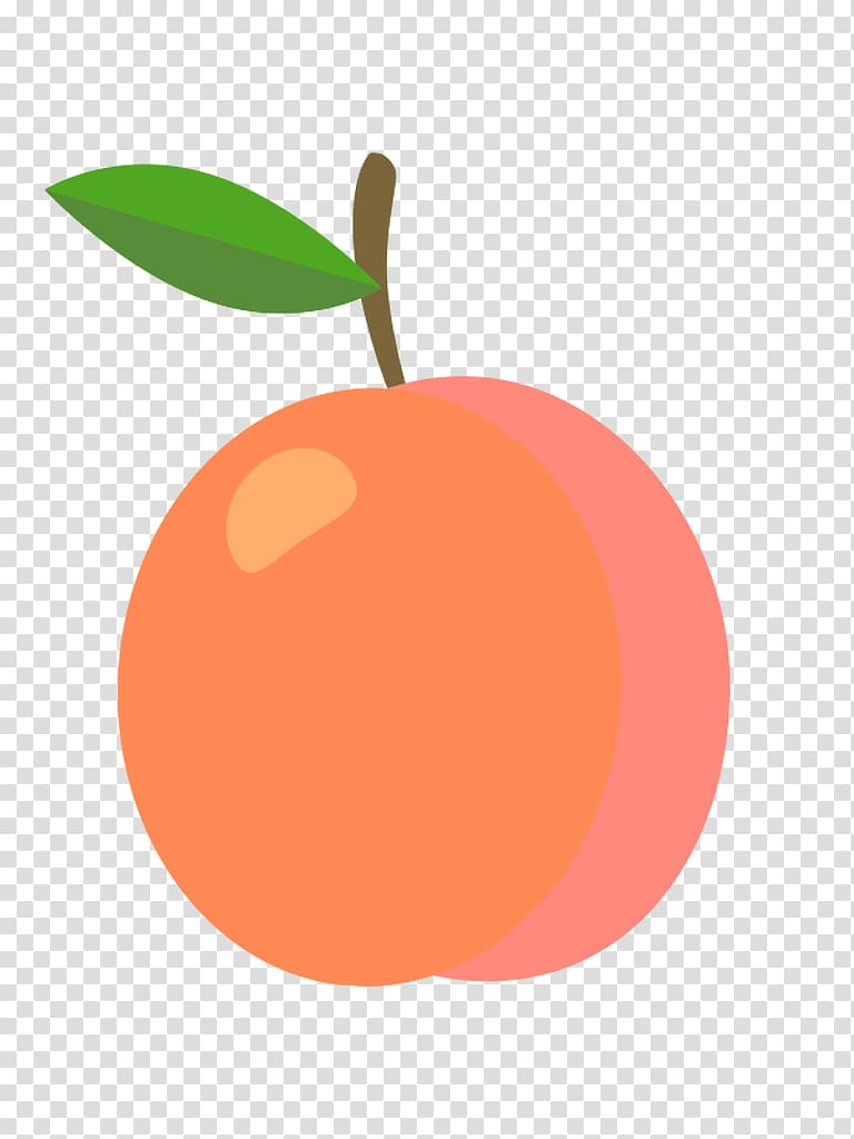 Grapefruit Saint-Mamet Apricot Fruit exotique, Fruit anatomy transparent background PNG clipart