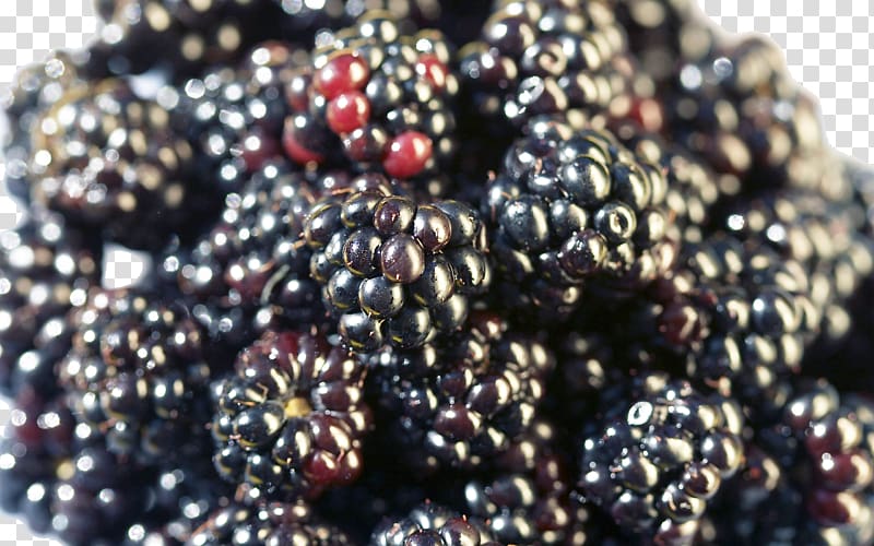 Tea Frutti di bosco Food Fruit Defecation, Raspberry transparent background PNG clipart