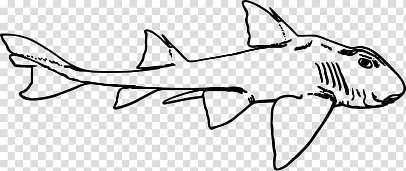 Port Jackson shark , shark transparent background PNG clipart