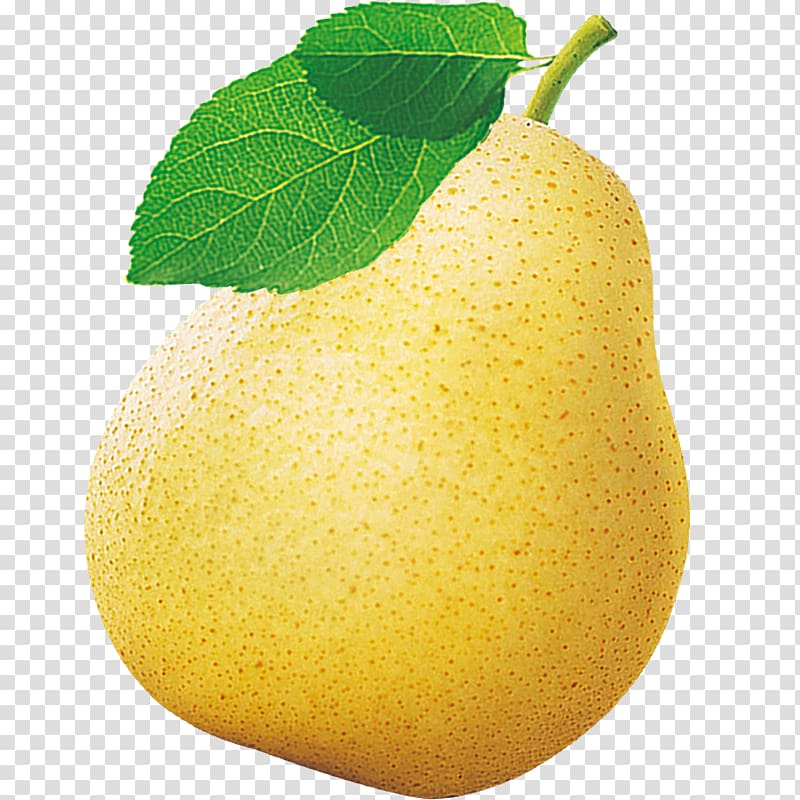 Asian pear Citron Lemon Fruit, Watery pear transparent background PNG clipart
