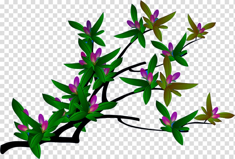 SWF , Plum flower transparent background PNG clipart