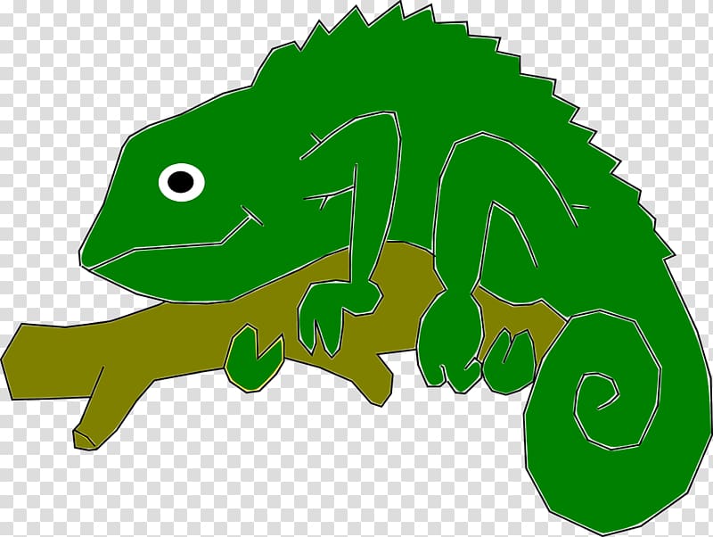Malagasy giant chameleon Panther chameleon Common Iguanas , others transparent background PNG clipart
