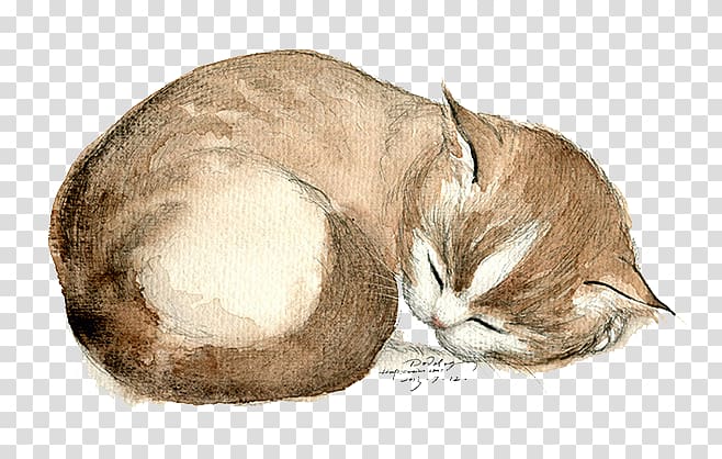 Domestic short-haired cat Whiskers Kitten, Hand painted cat transparent background PNG clipart