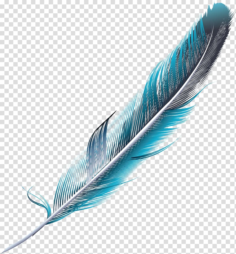 blue and black feather , Feather Green Blue, Slender blue-green feathers transparent background PNG clipart
