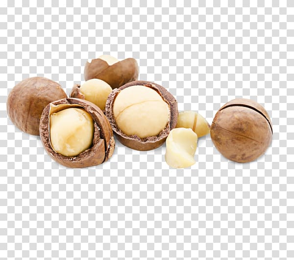 Macadamia nut Praline Macadamia nut Peanut, Macadamia Nuts transparent background PNG clipart