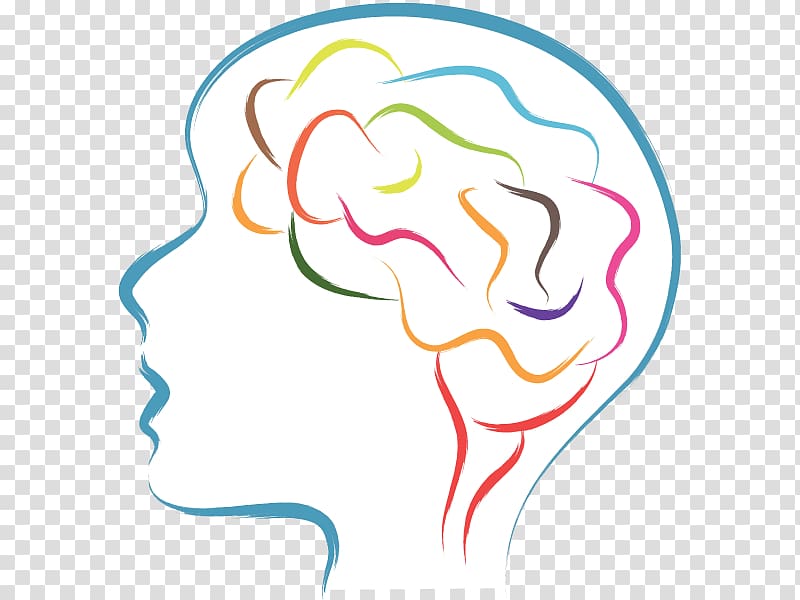 The Emotional Life of Your Brain Human brain Human head , Brain transparent background PNG clipart