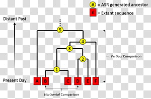 Document Line Angle Brand, line transparent background PNG clipart thumbnail