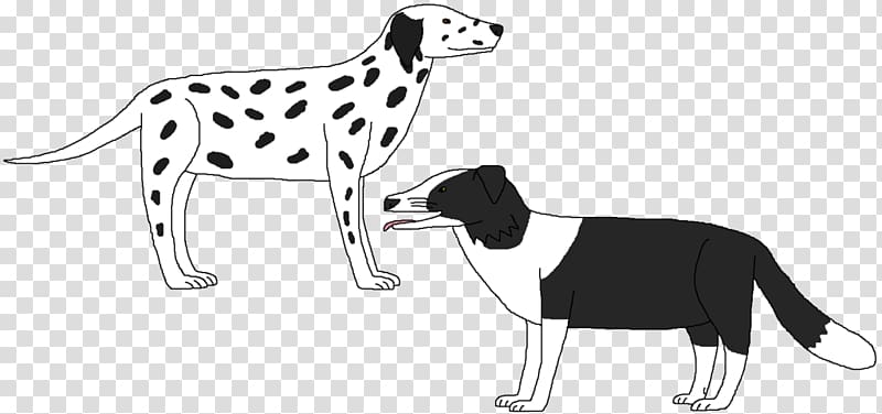 Dalmatian dog Italian Greyhound Puppy Dog breed Cat, groupofdogsblackandwhite transparent background PNG clipart