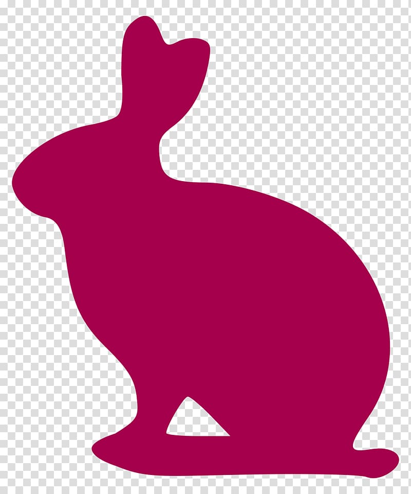 Argente rabbit Belgian Hare Domestic rabbit European rabbit, rabbit transparent background PNG clipart