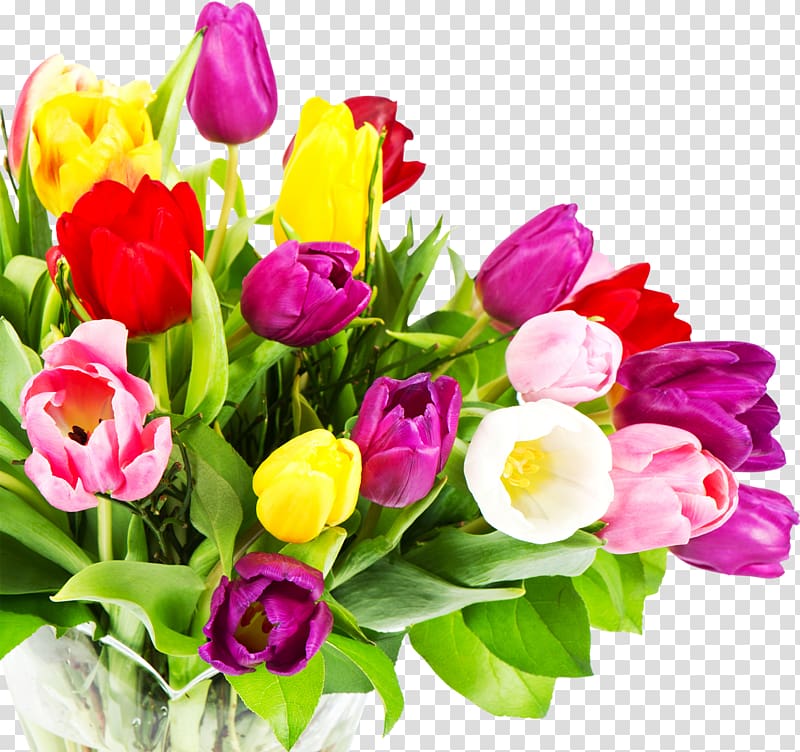 Flower bouquet Desktop Tulip White, 8th march transparent background PNG clipart