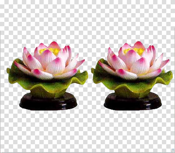 Nelumbo nucifera Lamp , Lotus lamp creative kind transparent background PNG clipart