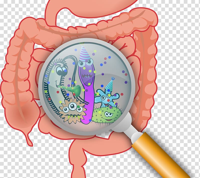 Diarrhea Inflammatory bowel disease Gastrointestinal tract Small intestinal bacterial overgrowth, pathogen sterilized bacteria transparent background PNG clipart