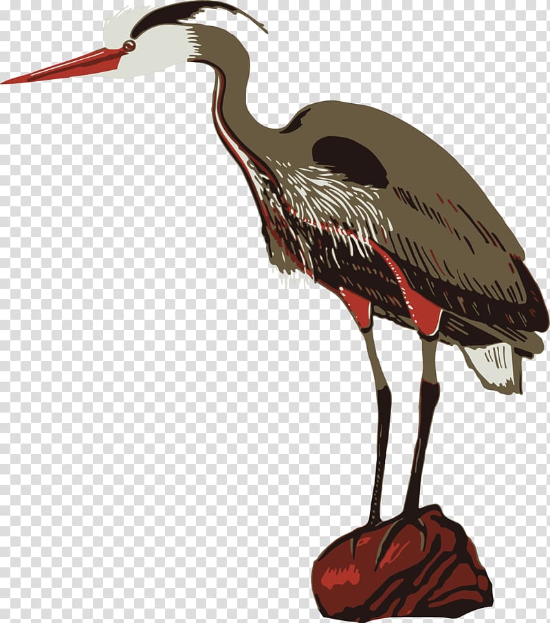 Crane Poster Zoo Heron, lobster transparent background PNG clipart