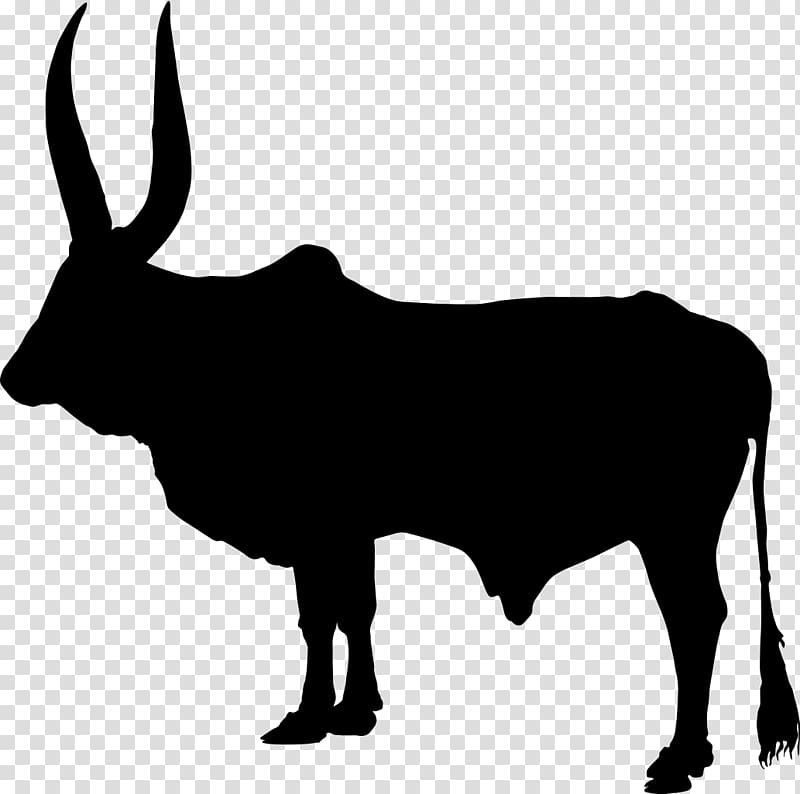 Zebu Silhouette Ox , Silhouette transparent background PNG clipart
