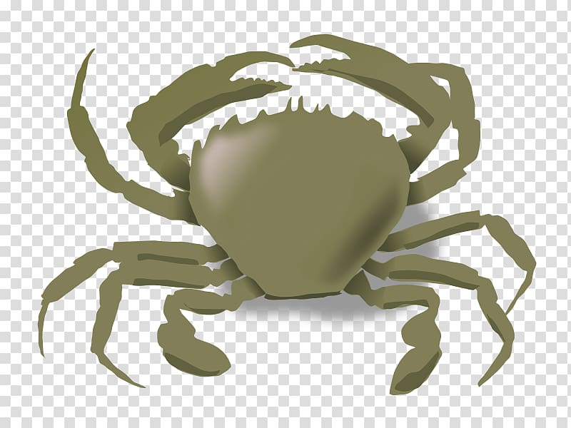 Chesapeake blue crab Seafood , Seashore transparent background PNG clipart